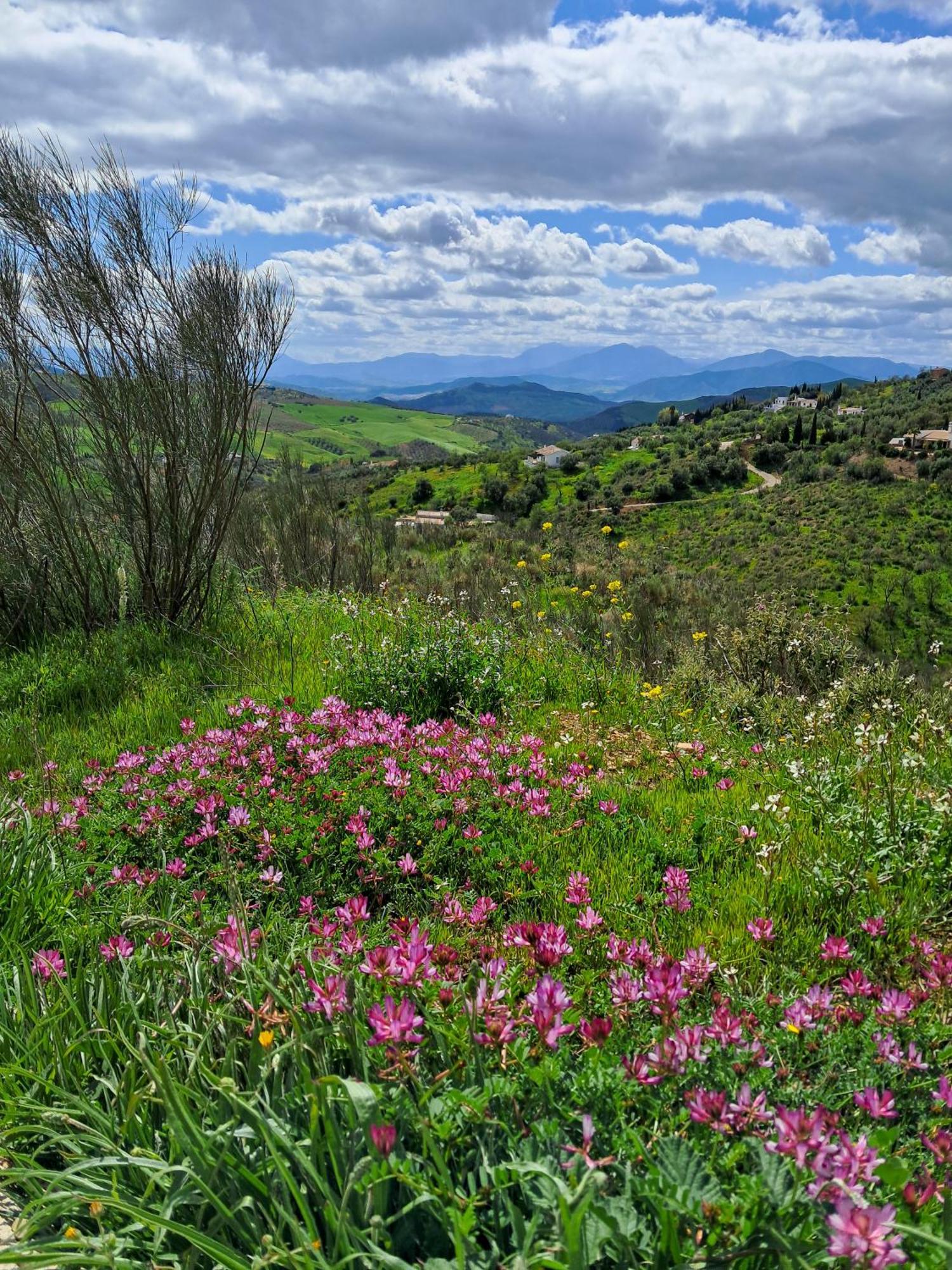 Finca Amorosa Вильянуэва-де-ла-Консепсьон Экстерьер фото
